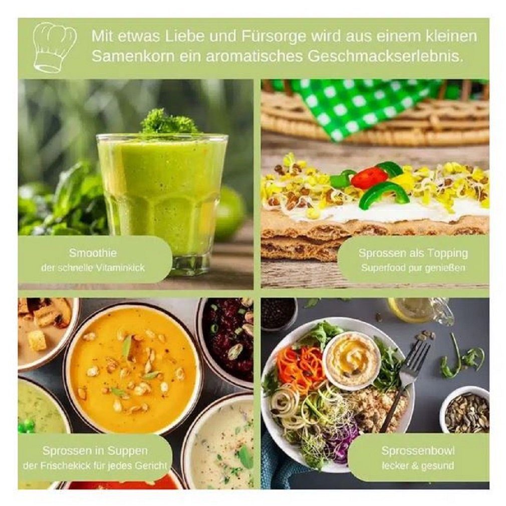 LOVEPLANTS Kräutertopf Dein St) Superfood 8 Set Sorten (1 Sprossen-Microgreens Bio Samen