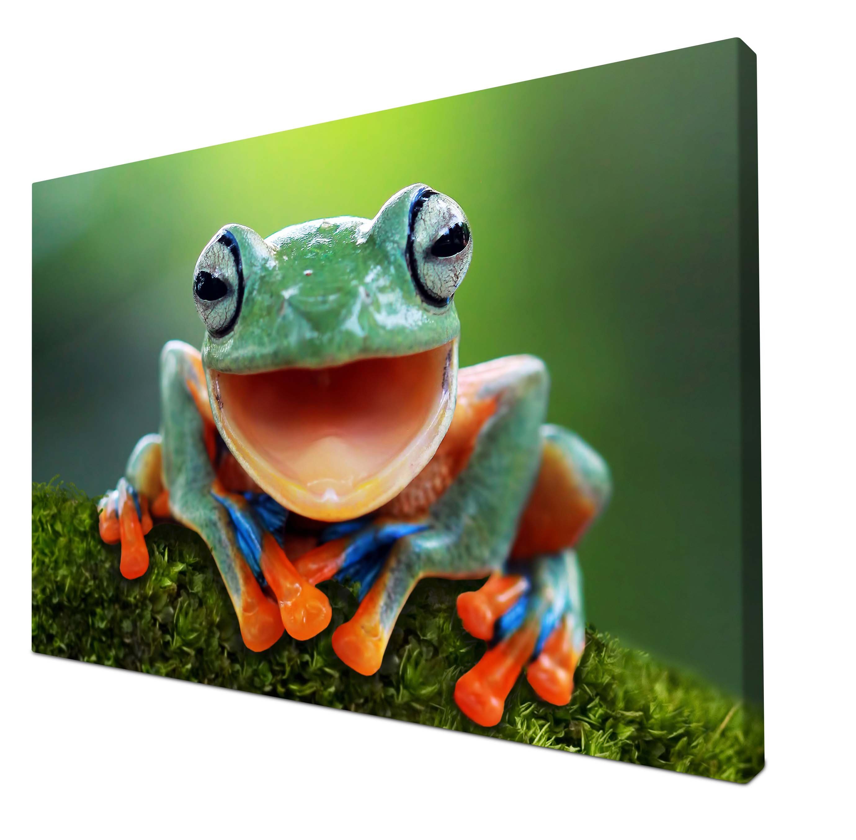 wandmotiv24 Leinwandbild grüner Frosch, Tier, Moos, Tiere (1 St), Wandbild, Wanddeko, Leinwandbilder in versch. Größen