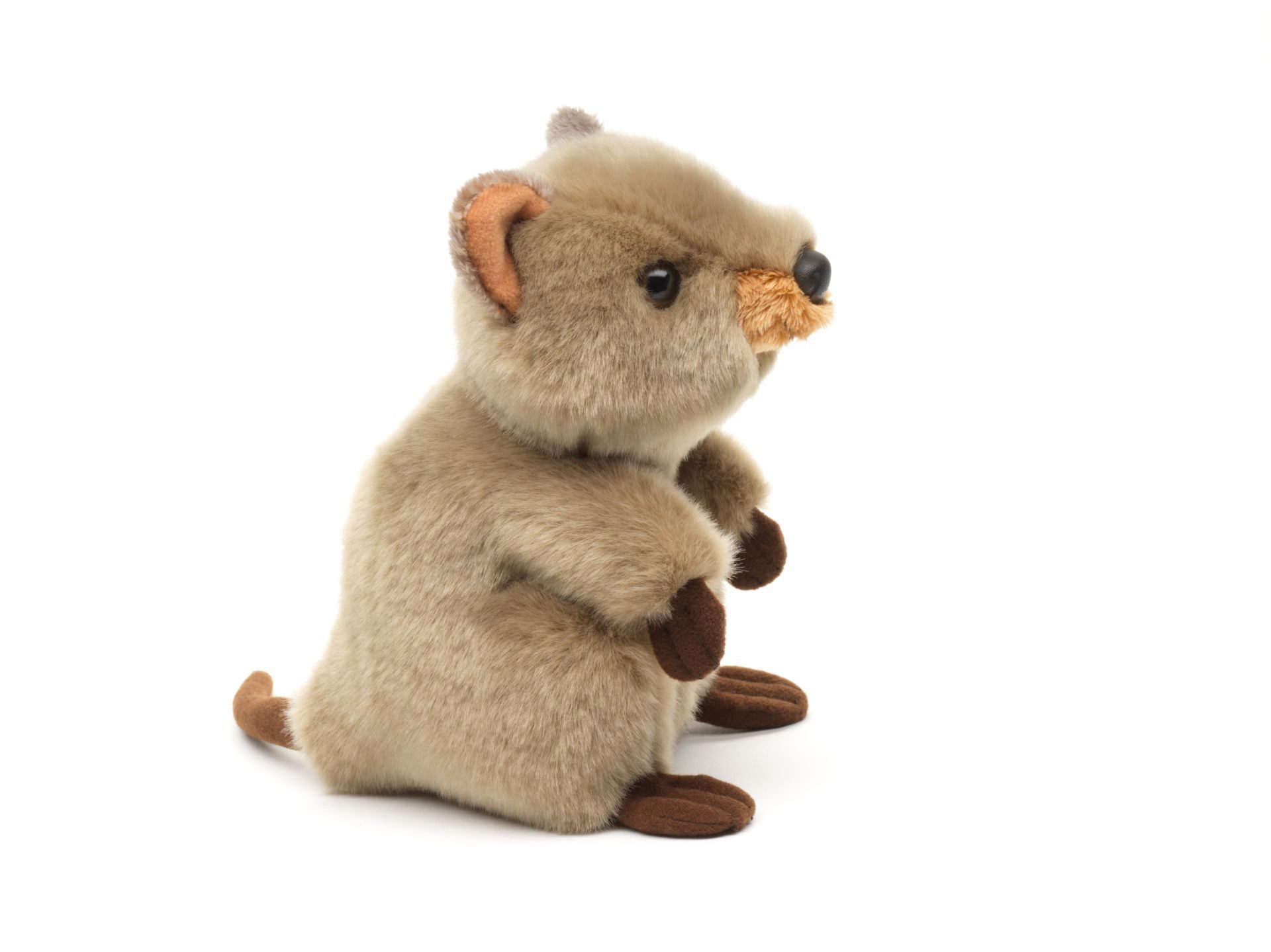 Teddys Rothenburg Kuscheltier Quokka hellbraun stehend 18 cm Plüschquokka Stofftier (Plüschtier, Stoffquokka)