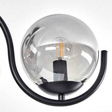 hofstein Deckenleuchte »Conca« moderne Deckenlampe aus Metall/Glas in Schwarz/Rauchfarben, ohne Leuchtmittel, mit Schirmen Rauchglas, E14