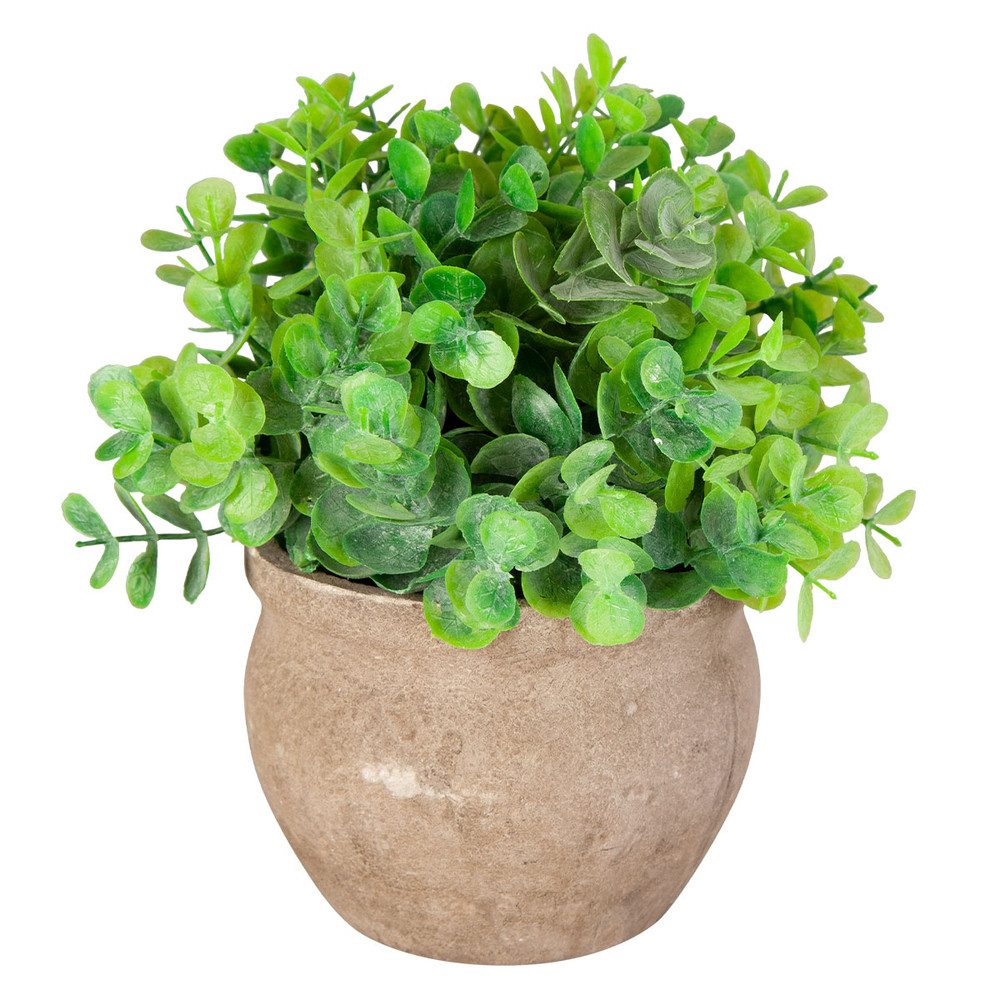 Kunstblume Eukalyptus - inkl. Topf - günstig online kaufen