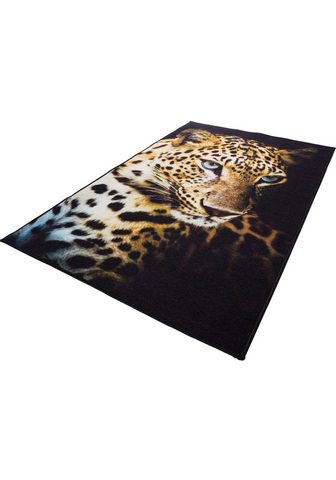 ANDIAMO Ковер »Leopard« rechteckig...