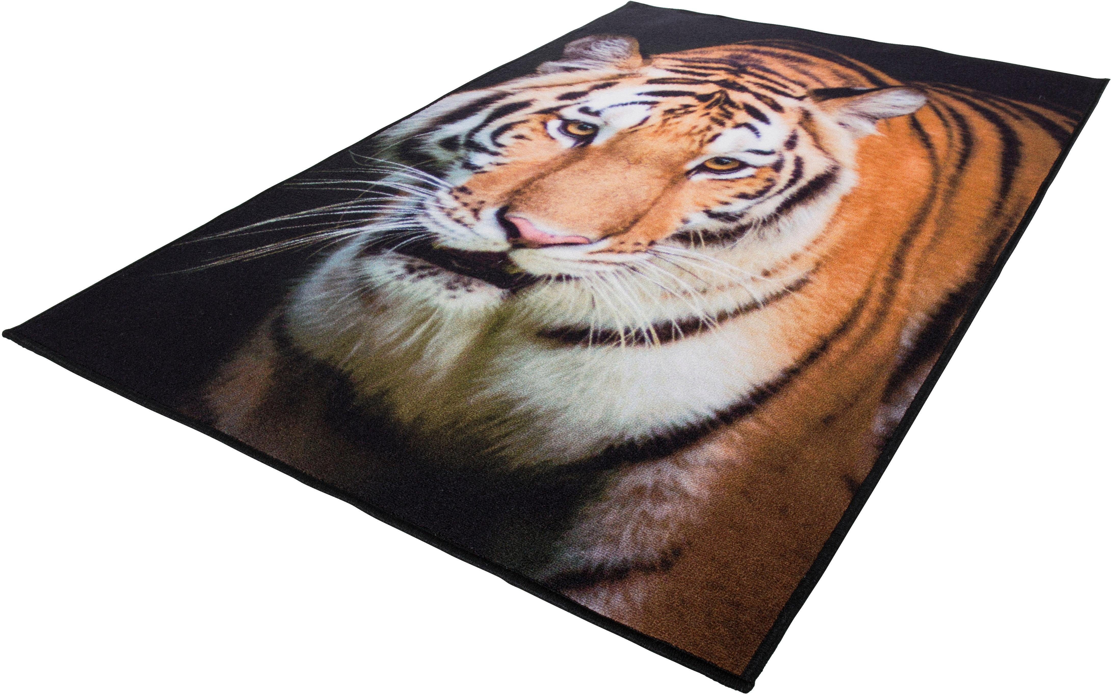 Teppich »Tiger«, Andiamo, rechteckig, Höhe 4 mm, bedruckt, Wohnzimmer  online kaufen | OTTO