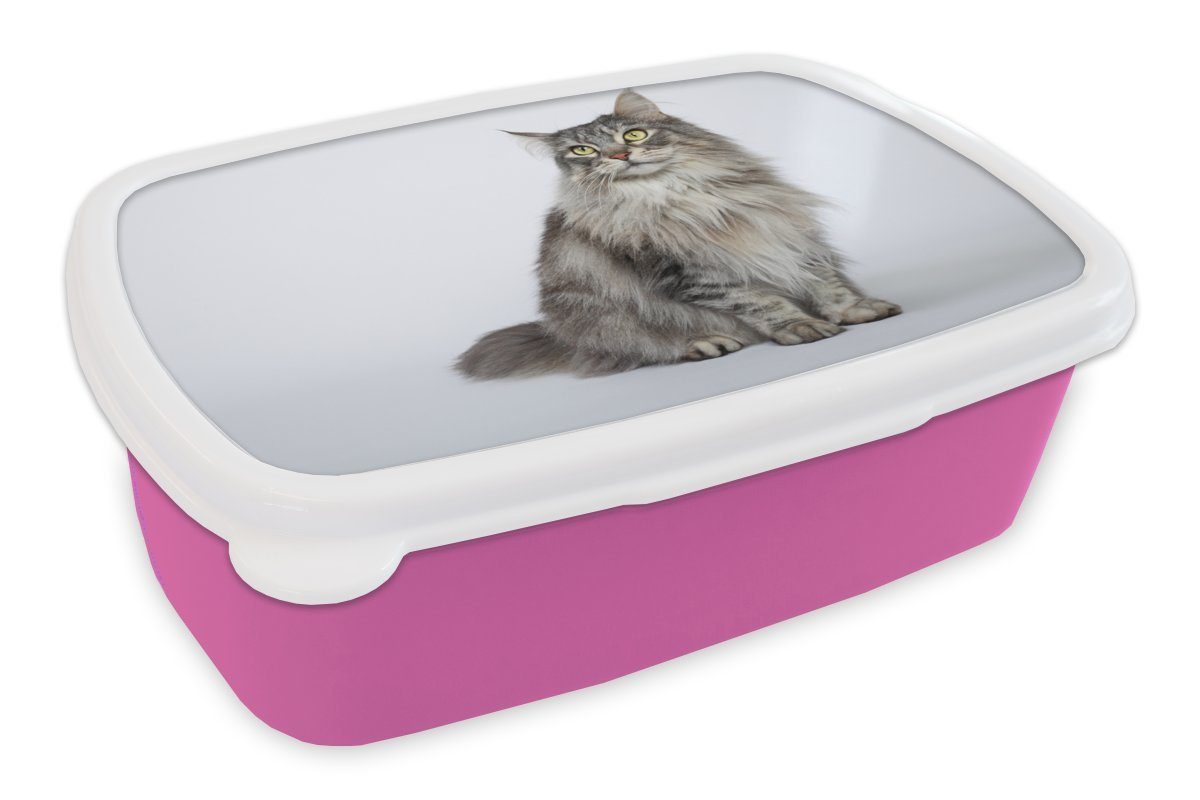 MuchoWow Lunchbox Porträt einer grauen Maine Coon Katze, Kunststoff, (2-tlg), Brotbox für Erwachsene, Brotdose Kinder, Snackbox, Mädchen, Kunststoff rosa