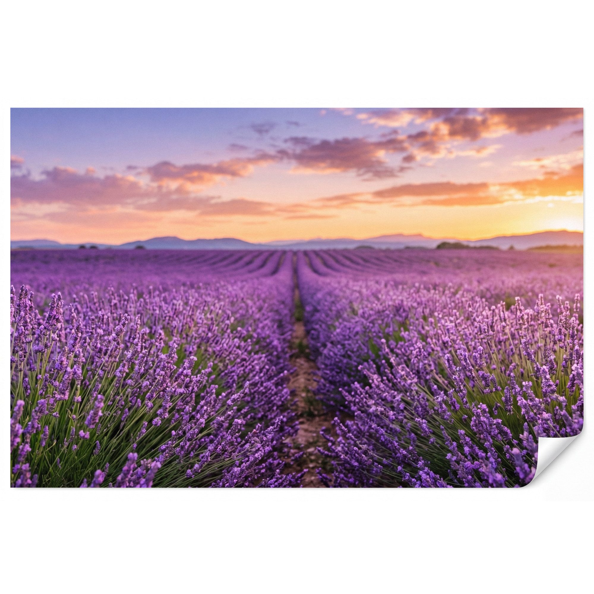 OnlyWow Fototapete Lavendel - Feld - Natur - Lila, Matt, bedruckt, Wohnzimmer, Modern, Wanddekoration, Vliestapete 100x70cm