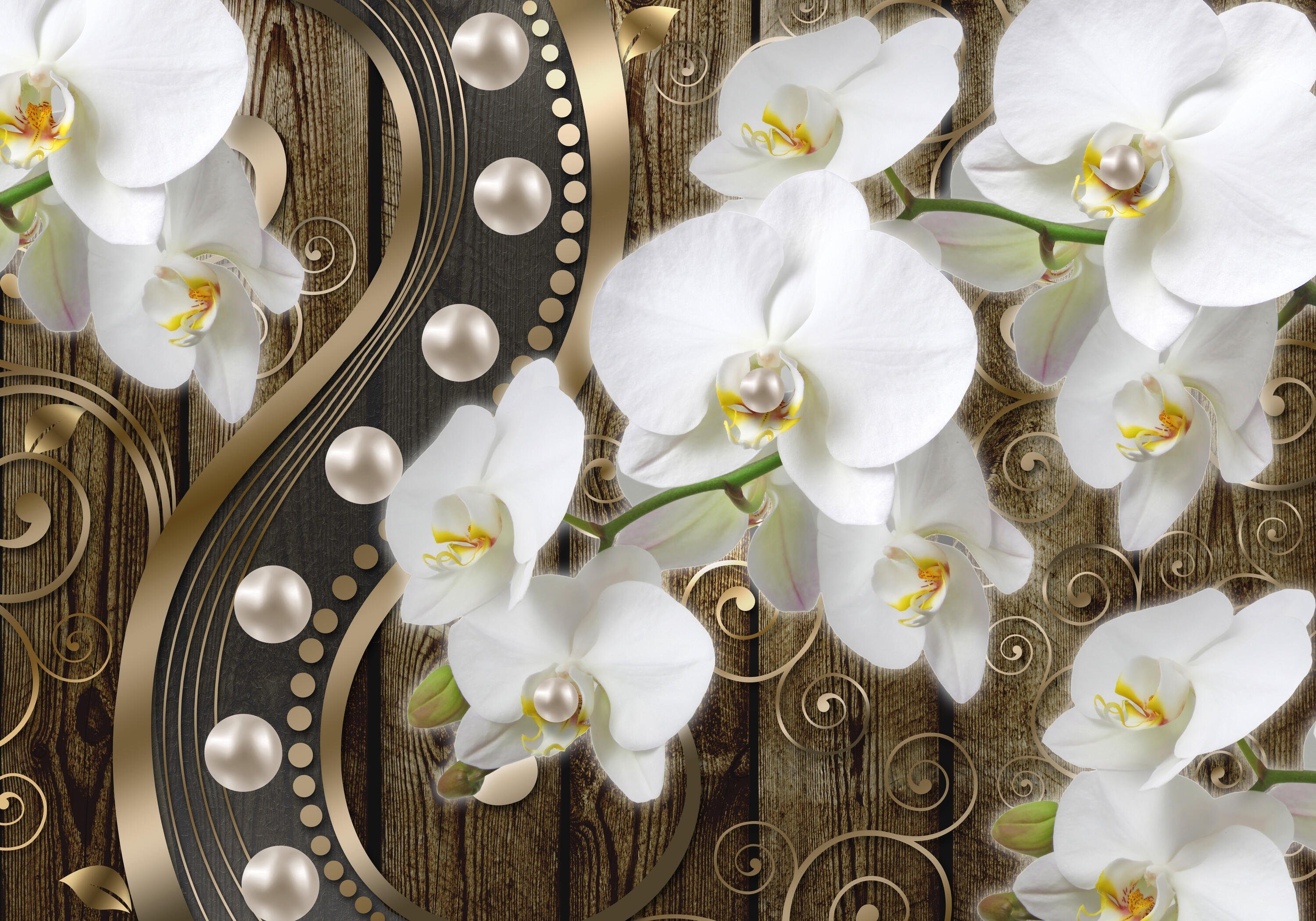wandmotiv24 Fototapete 3D Effekt Orchideen Perlen, glatt, Wandtapete, Motivtapete, matt, Vliestapete