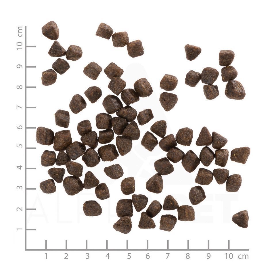 Wolfsblut Cold River Puppy - getreidefreies Trockenfutter mit Forelle für Welpen, Trockenfutter für: Hunde