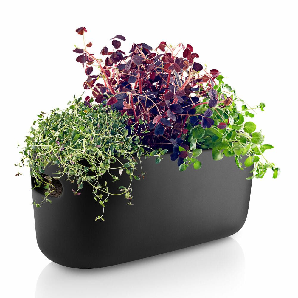 Eva Solo Kräutertopf Selbstbewässernder Herb-Organiser Schwarz