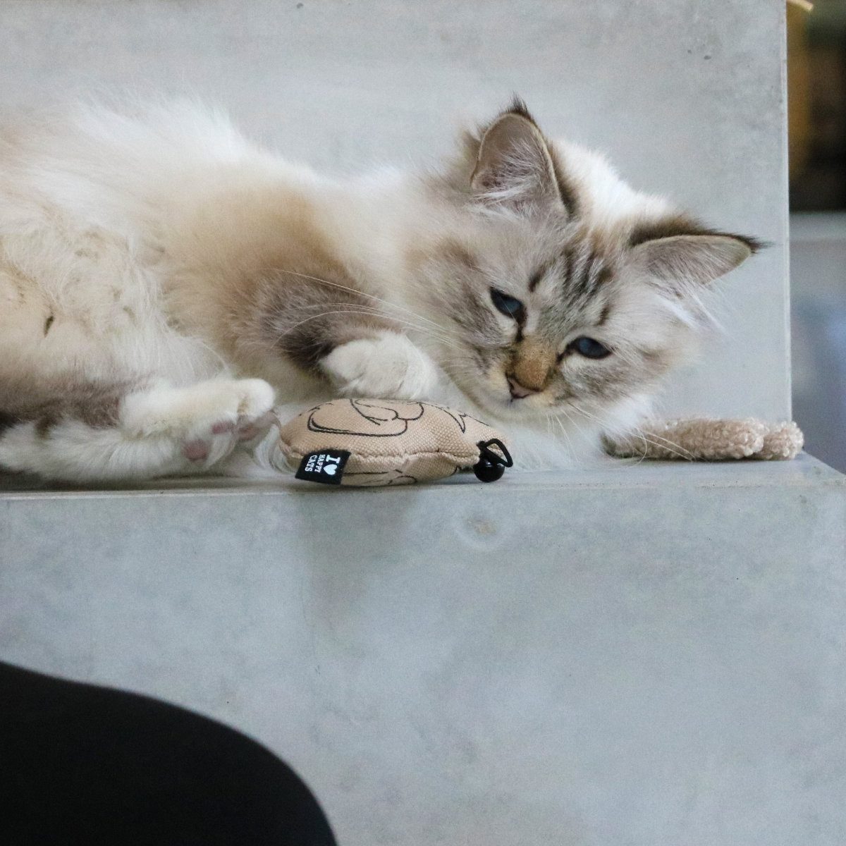 D&D Tierkuscheltier Katzenspielzeug I Love Happy Cats "Relaxing Cat" mit Glöckchen beige