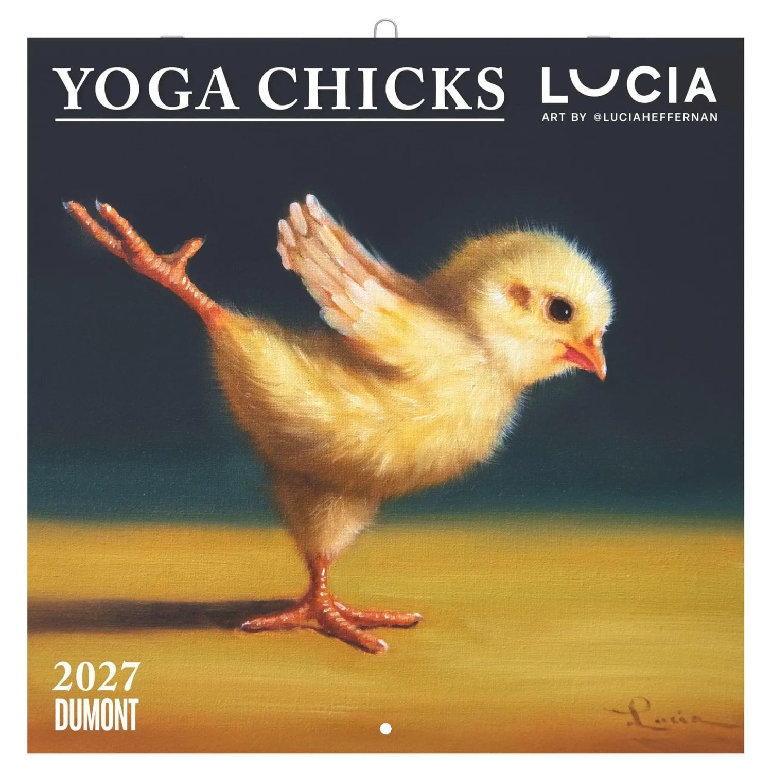 DUMONT Wandkalender Yoga Chicks 2027