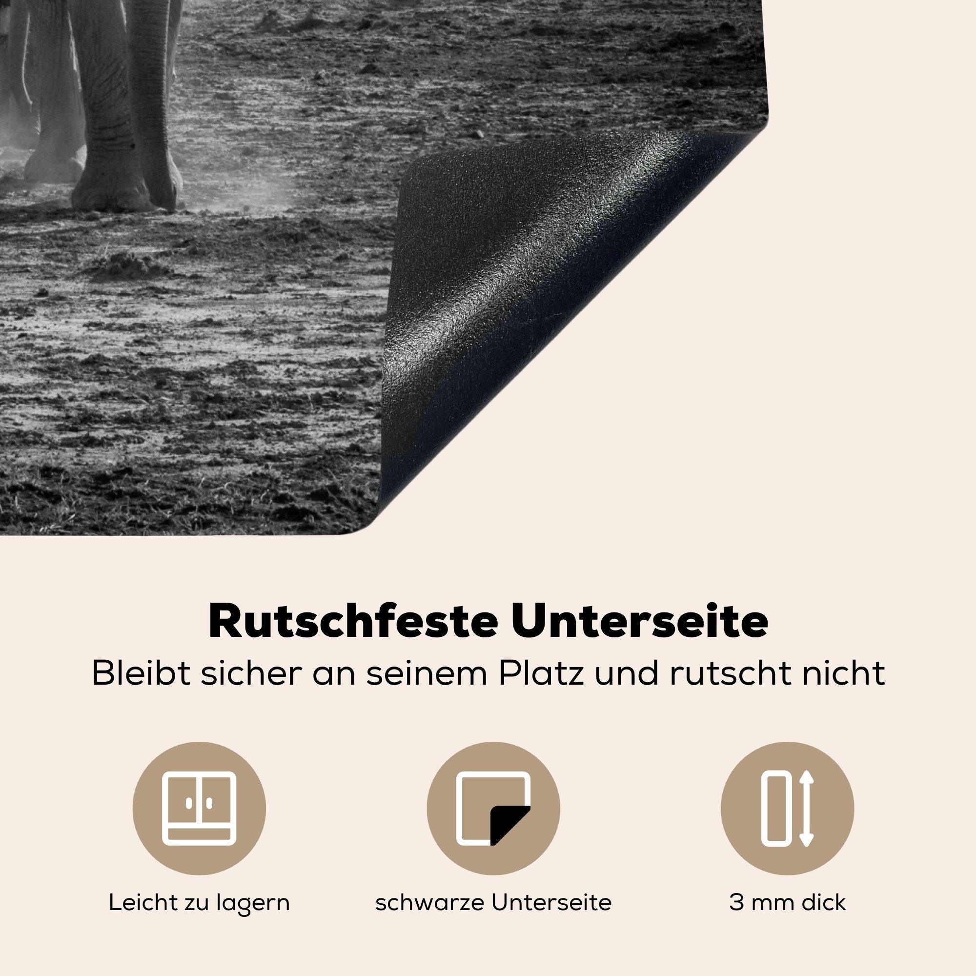 MuchoWow Herdblende-/Abdeckplatte Elefant - Einfarbig küche, die Induktionsmatte Vinyl, Weiß, Ceranfeldabdeckung Tiere - cm, - (1 59x52 - tlg), für Schwarz