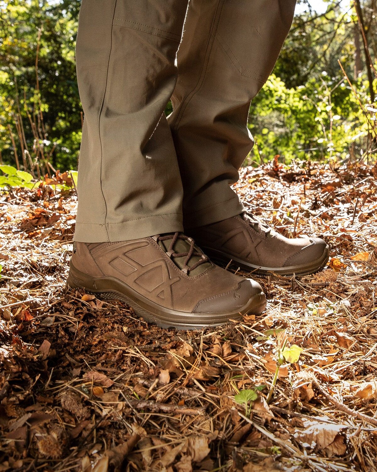 haix Stiefel Black Eagle® Nature GTX Stiefel