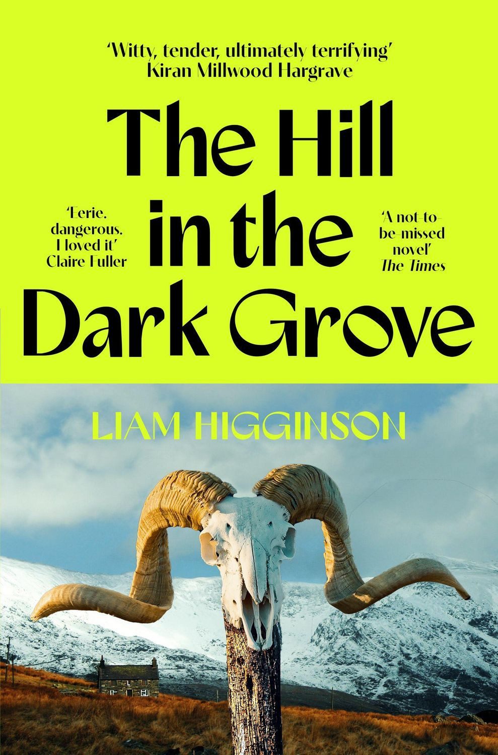 The Hill in the Dark Grove / Liam Higginson