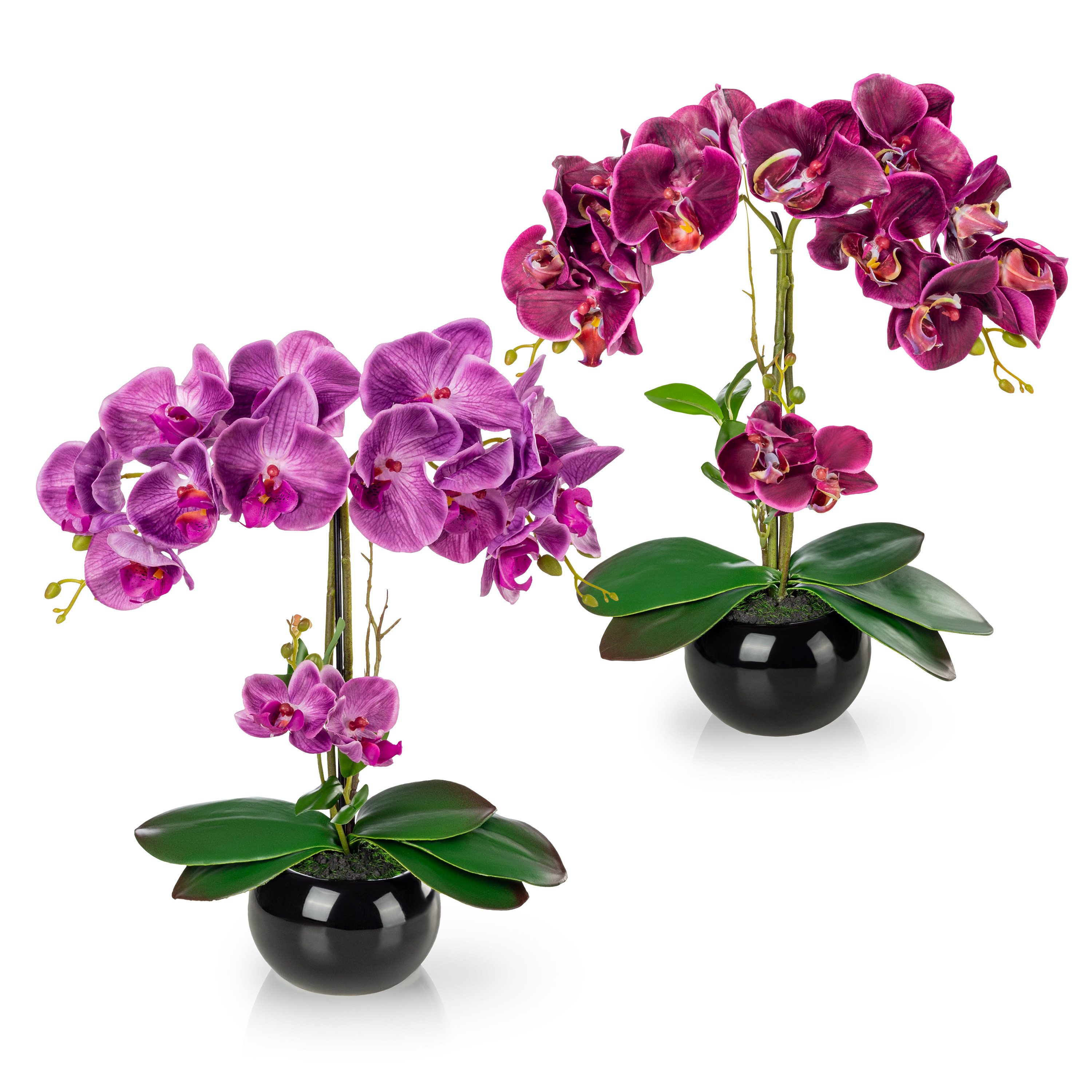 Kunstorchidee PASCH® Orchidee künstlich wie echt (40cm) in Hochglanz-Keramiktopf Orchidee, PASCH