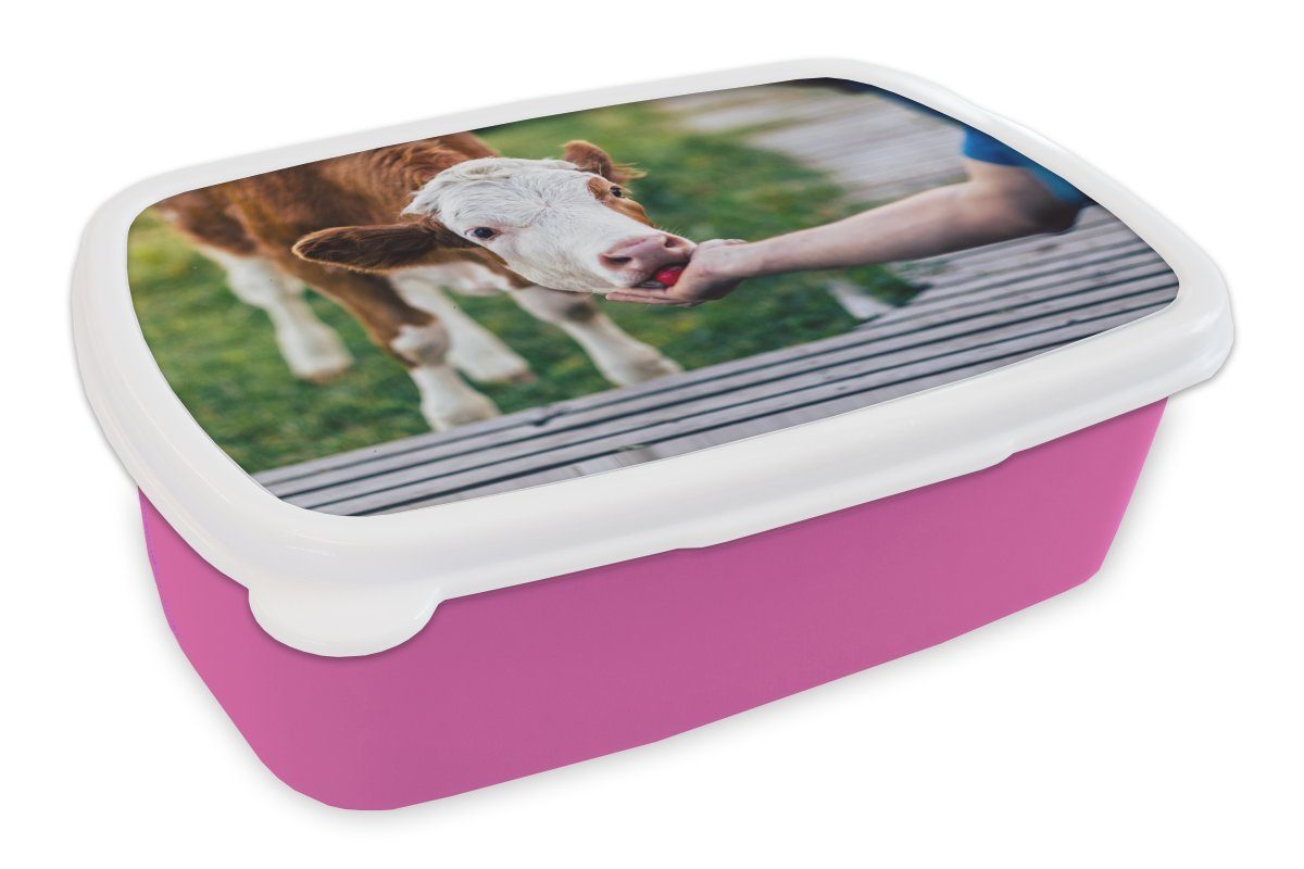 MuchoWow Lunchbox Kalb aus der Hand fressen, Kunststoff, (2-tlg), Brotbox für Erwachsene, Brotdose Kinder, Snackbox, Mädchen, Kunststoff rosa