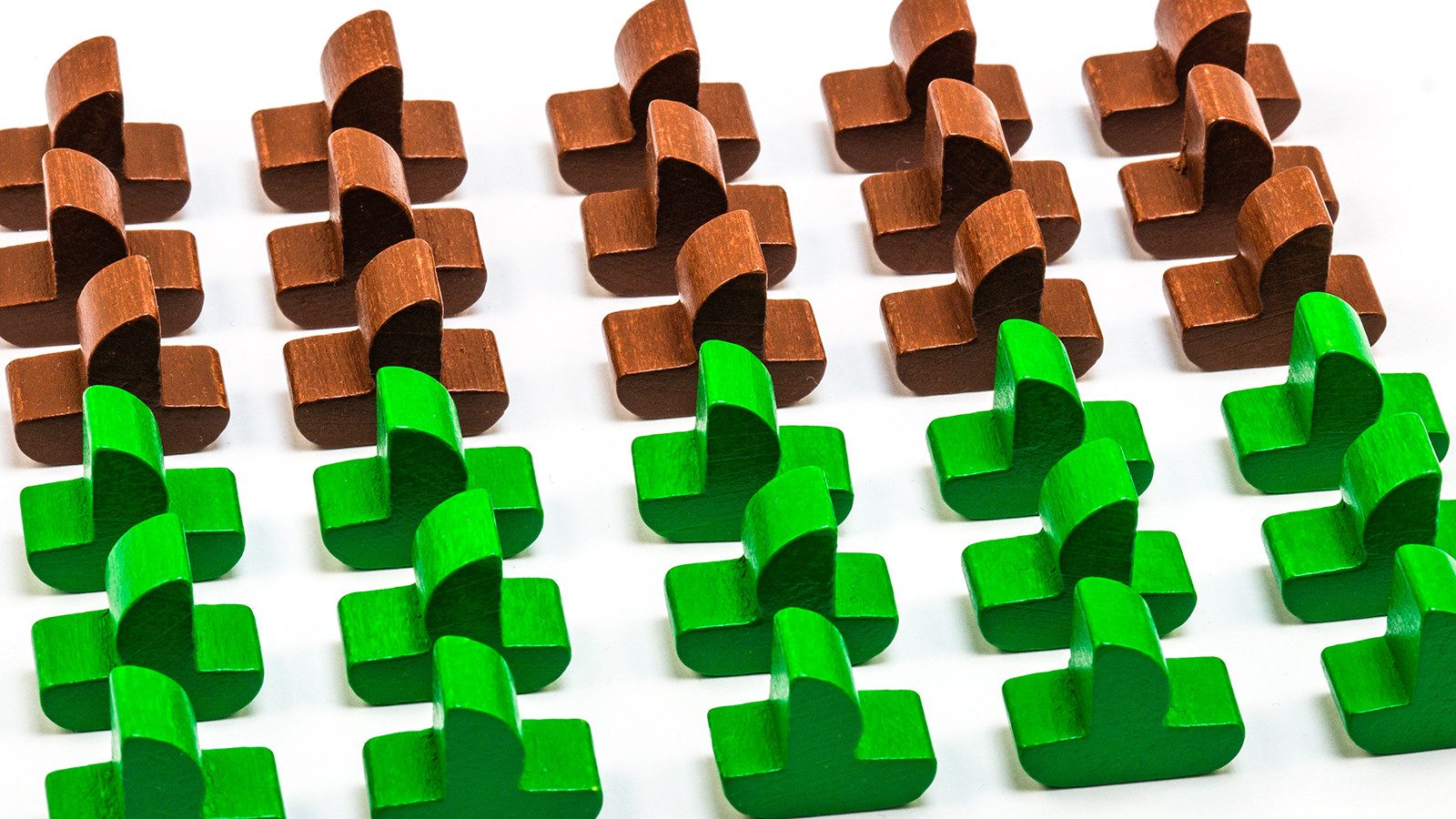 Waldfelsen Spiel – 5-6 Spieler Erweiterung passend für Die Siedler von Catan Holz, Spielmaterial, Verschiedene Sets
