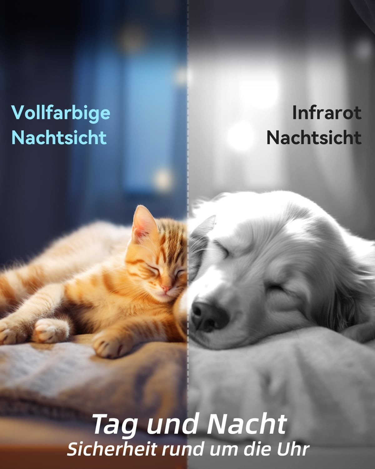 Blurams Überwachungskamera 2K 360° WLAN Kamera mit Bewegungserkennung (Innen, 1-tlg., Farbnachtsicht, 2-Wege-Audio, kompatibel mit Alexa und Google)