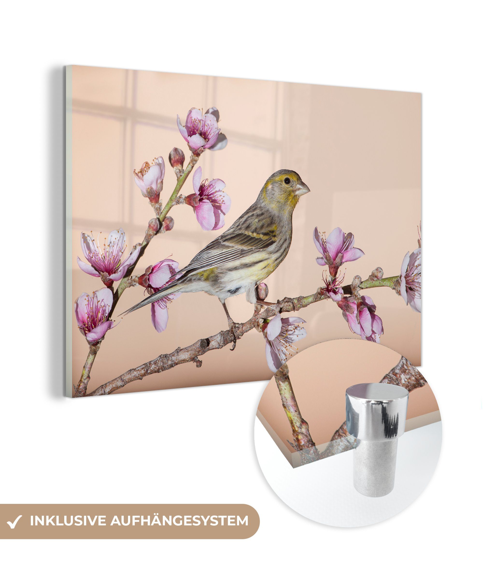 MuchoWow Acrylglasbild Ein Kanarienvogel zwischen lila Blumen, (1 St), Acrylglasbilder Wohnzimmer & Schlafzimmer