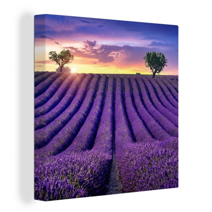 OneMillionCanvasses® Leinwandbild Lavendel - Hügel - Sonnenuntergang - Bpmen - Lila (1 St) Bild auf Leinwand Wandbild Leinwandbilder Wanddekoration Kunstdruck