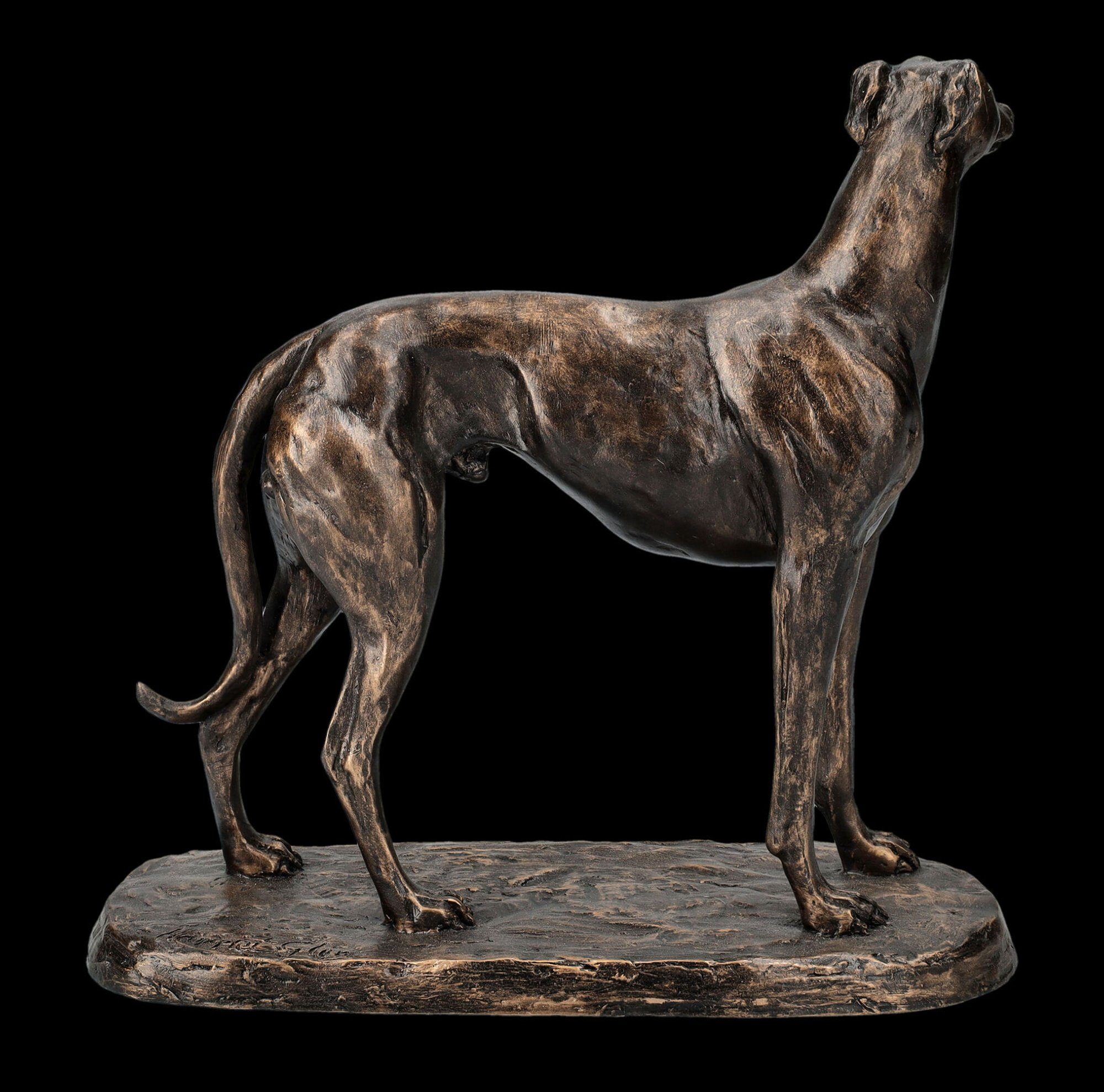 Windhund der Figuren Dekofigur Dekration Figur Hundefigur Shop Greyhound Tierfigur - Gus GmbH -