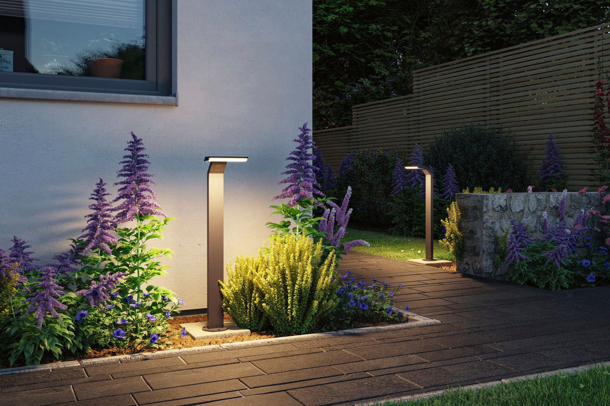 Paulmann LED Gartenleuchte Zenera 230V Pollerleuchte 3000K anthrazit, LED fest integriert, Warmweiß, seewasserresistent
