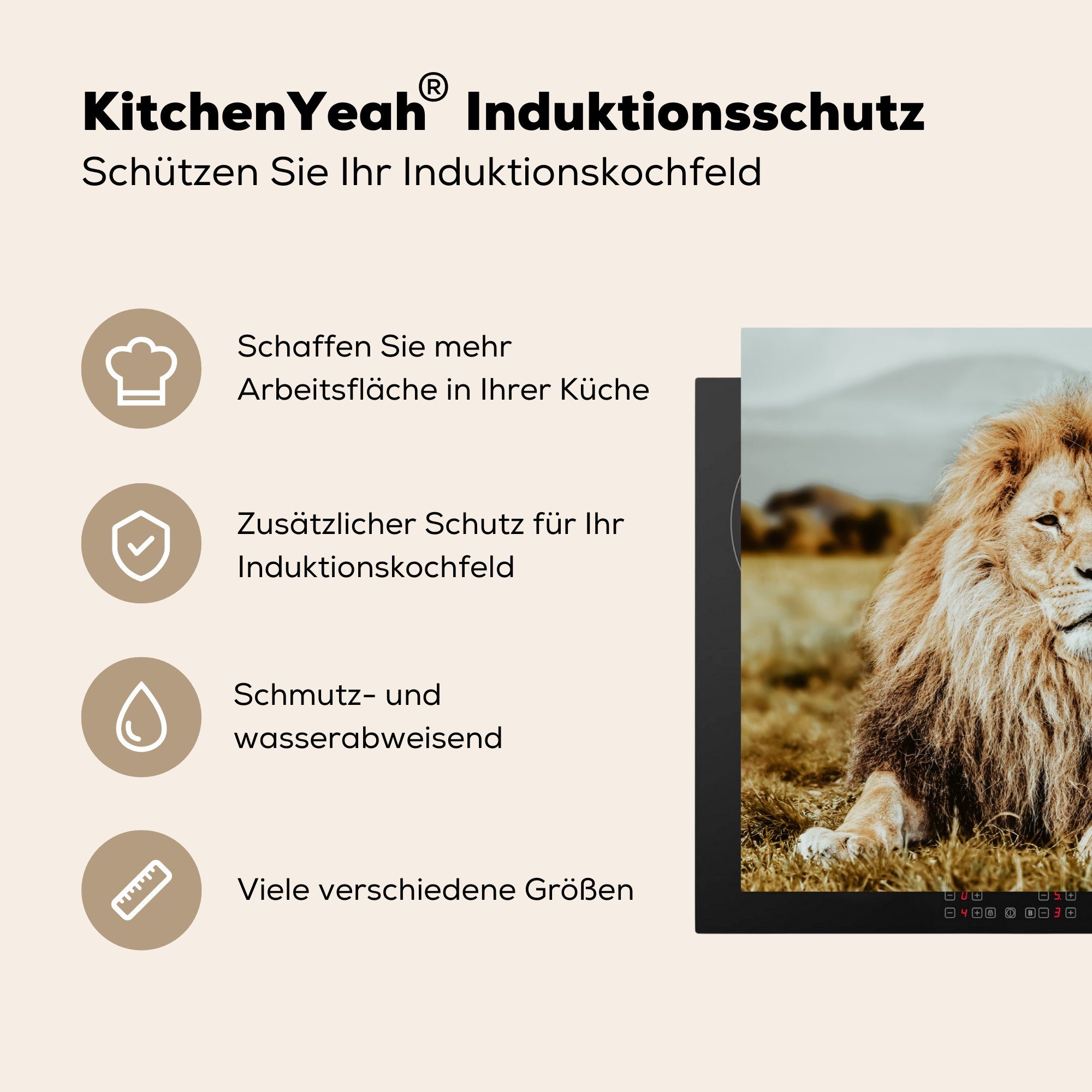 Induktionskochfeld Afrika, cm, - MuchoWow die Ceranfeldabdeckung Vinyl, für tlg), 81x52 Wild Herdblende-/Abdeckplatte - (1 Schutz küche, Löwen