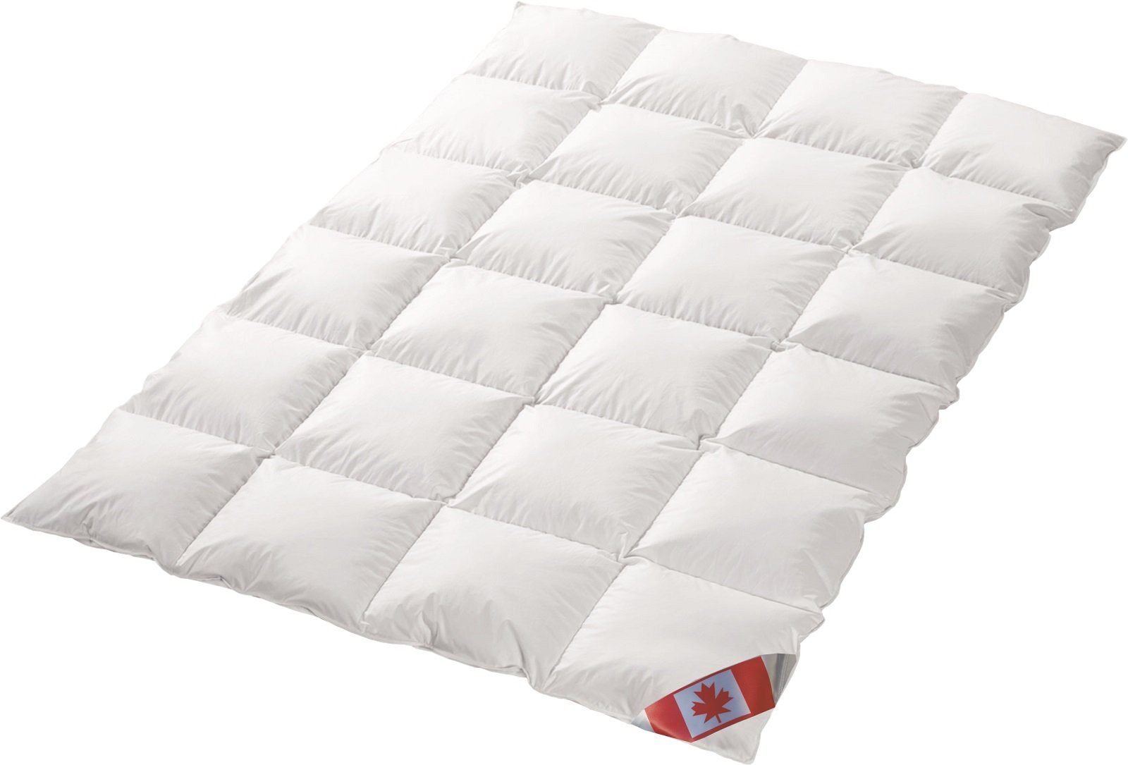Canada Daunenbettdecke Canada warme Winter Daunendecke günstig online kaufen