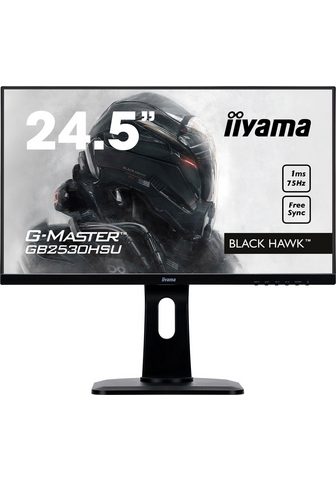 IIYAMA »G-MASTER GB2530HSU-B1« Св...