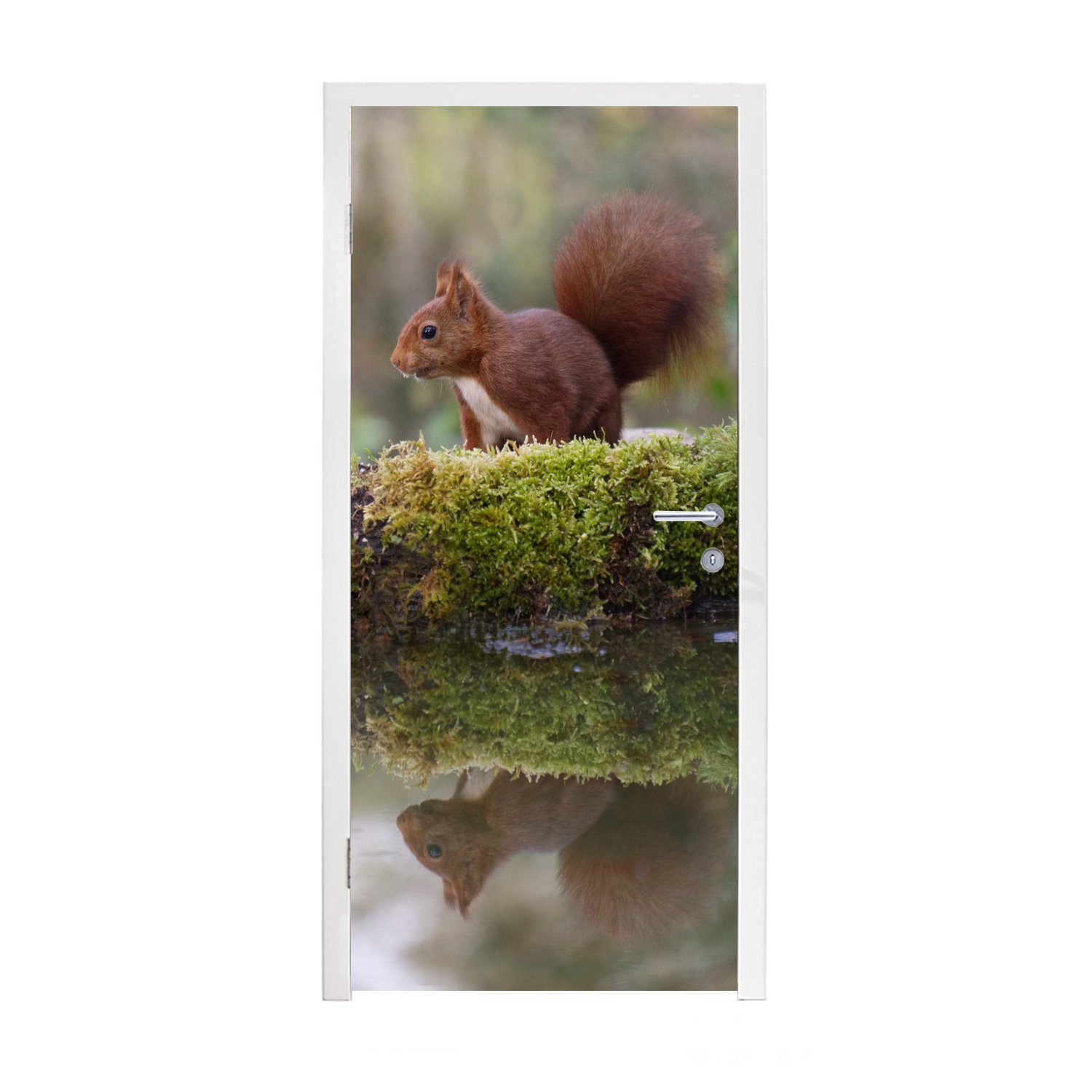 MuchoWow Türtapete Waldtiere - Wasser - Moos, Matt, bedruckt, (1 St), Fototapete für Tür, Türaufkleber, 75x205 cm