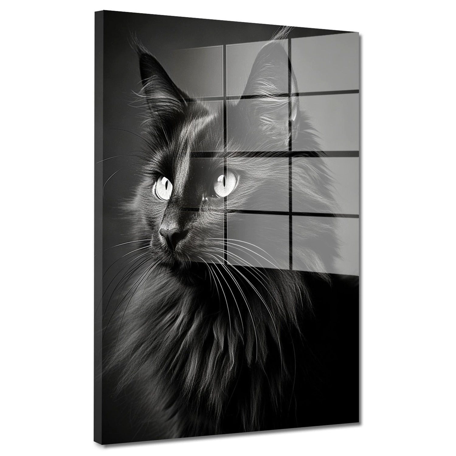 Artedinoi Acrylglasbild Katze Acrylglasbild Wandbild Modern Schwarz Elegant Tier Deko XXL, Elegantes Portrait einer schwarzen Katze mit ausdrucksstarkem Blick