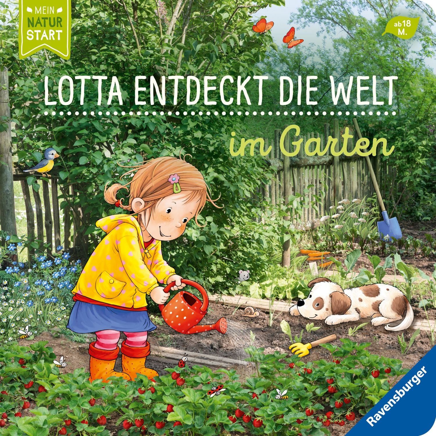 Lotta entdeckt die Welt: Im Garten / Sandra Grimm