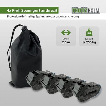 TRUTZHOLM Spanngurt 4x Profi Spanngurt mit Klemmschloss 1-tlg 2,5m 250 kg Traglast Anthraz (Set)