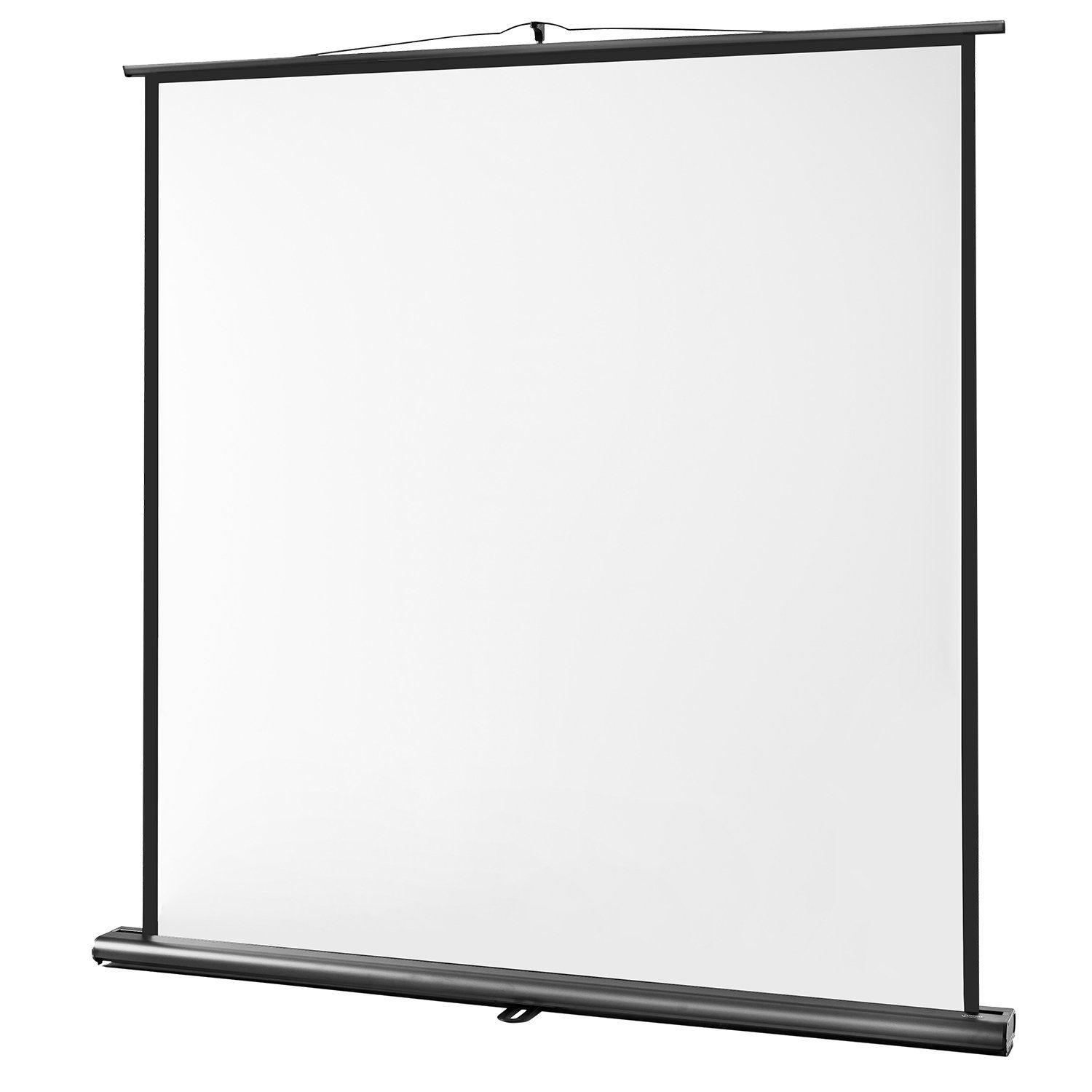 Celexon Professional Pull-Up-Leinwand (black_backside)