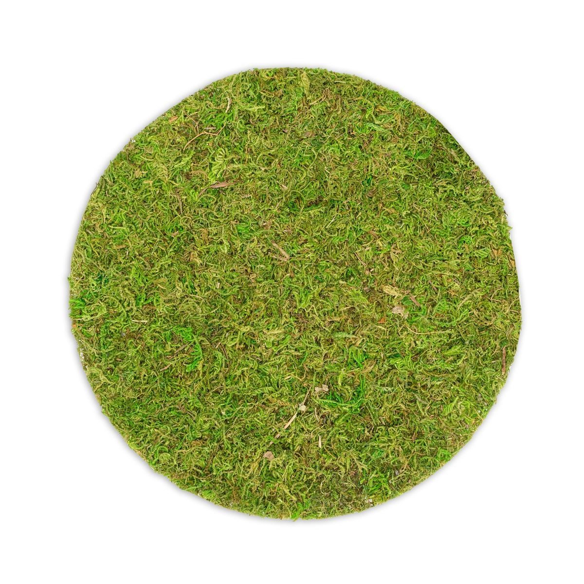 Bastelnaturmaterial Moosplatte rund, mit einem Durchmesser von 25cm Moosbild