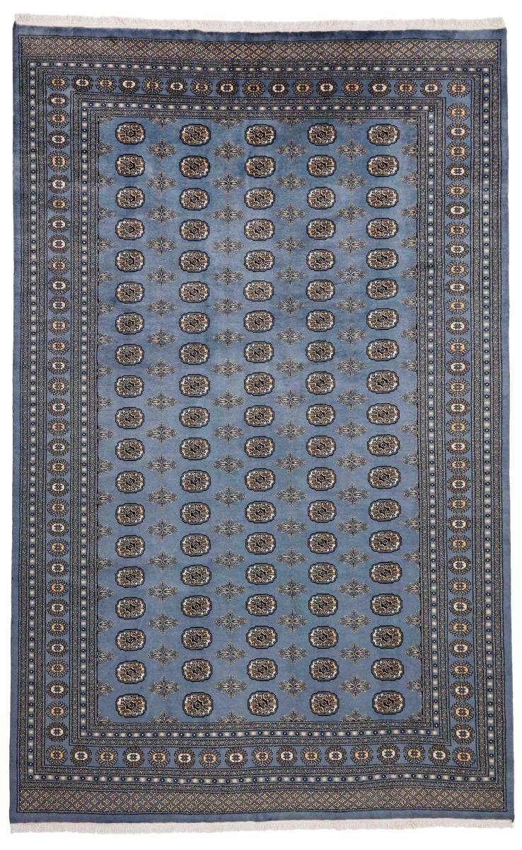 Orientteppich Pakistan Buchara 2ply 244x360 Handgeknüpfter Orientteppich, Nain Trading, rechteckig, Höhe: 8 mm