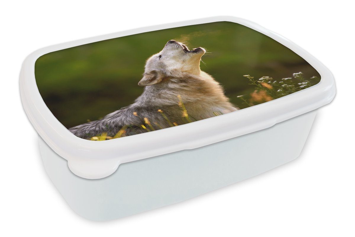 MuchoWow Lunchbox Wolf - Wald - Natur, Kunststoff, (2-tlg), Brotbox für Kinder und Erwachsene, Brotdose, für Jungs und Mädchen weiß | Lunchboxen
