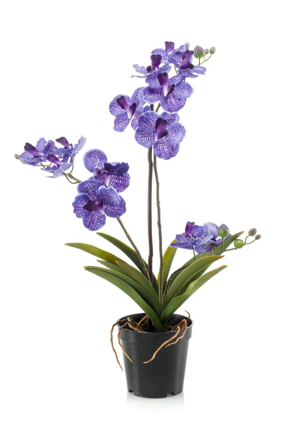 Kunstorchidee Vanda Campo, violett, 60cm Orchidee (Orchidee vanda), artplants, Höhe 60.0 cm