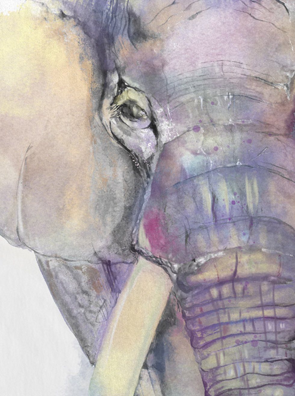 style3 T-Shirt Aquarell Elefant elephant zoo urlaub günstig online kaufen