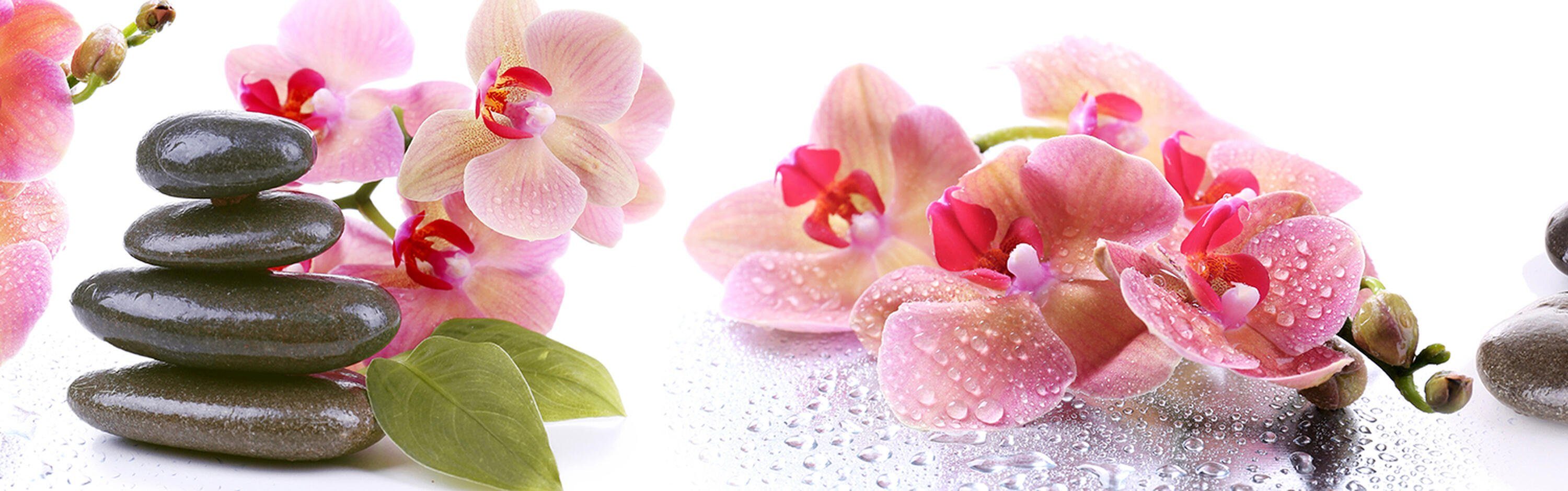 Nischenrückwand versch. Küchenrückwand Orchidee Wasser, Steine Größen Hartschaum Blätter in Premium (1-tlg), wandmotiv24