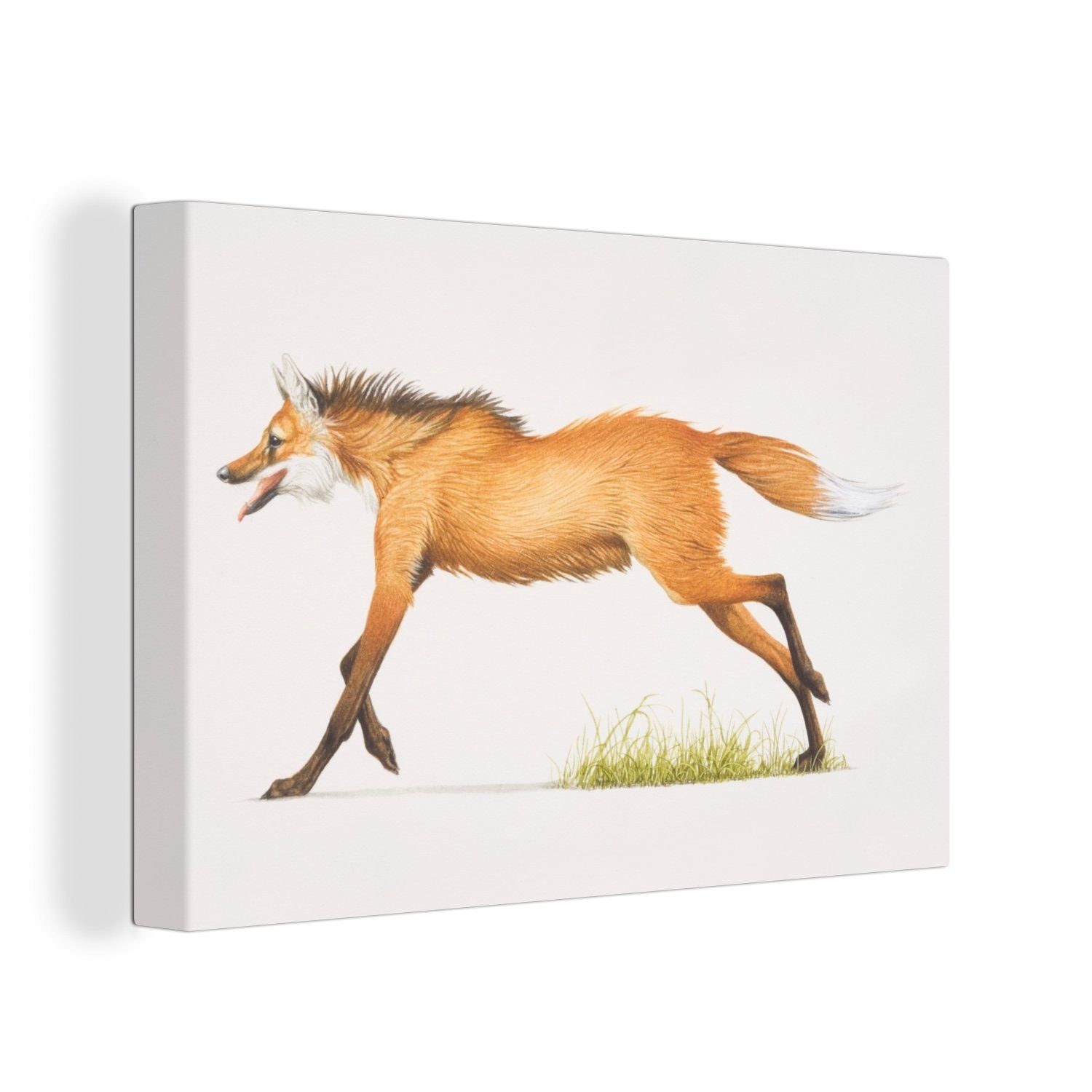 OneMillionCanvasses® Leinwandbild Illustration eines Mähnenwolfs im Gras, (1 St), Wandbild Leinwandbilder, Aufhängefertig, Wanddeko, 30x20 cm