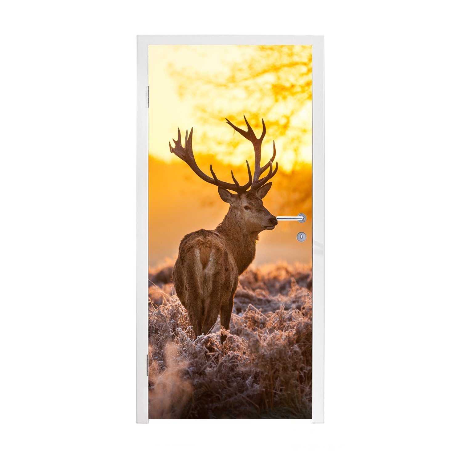 - cm Matt, - Türtapete - Sonnenuntergang Hirsche (1 Winter Tür, Natur, St), - Heidekraut für 75x205 bedruckt, Fototapete Tiere - MuchoWow Türaufkleber,