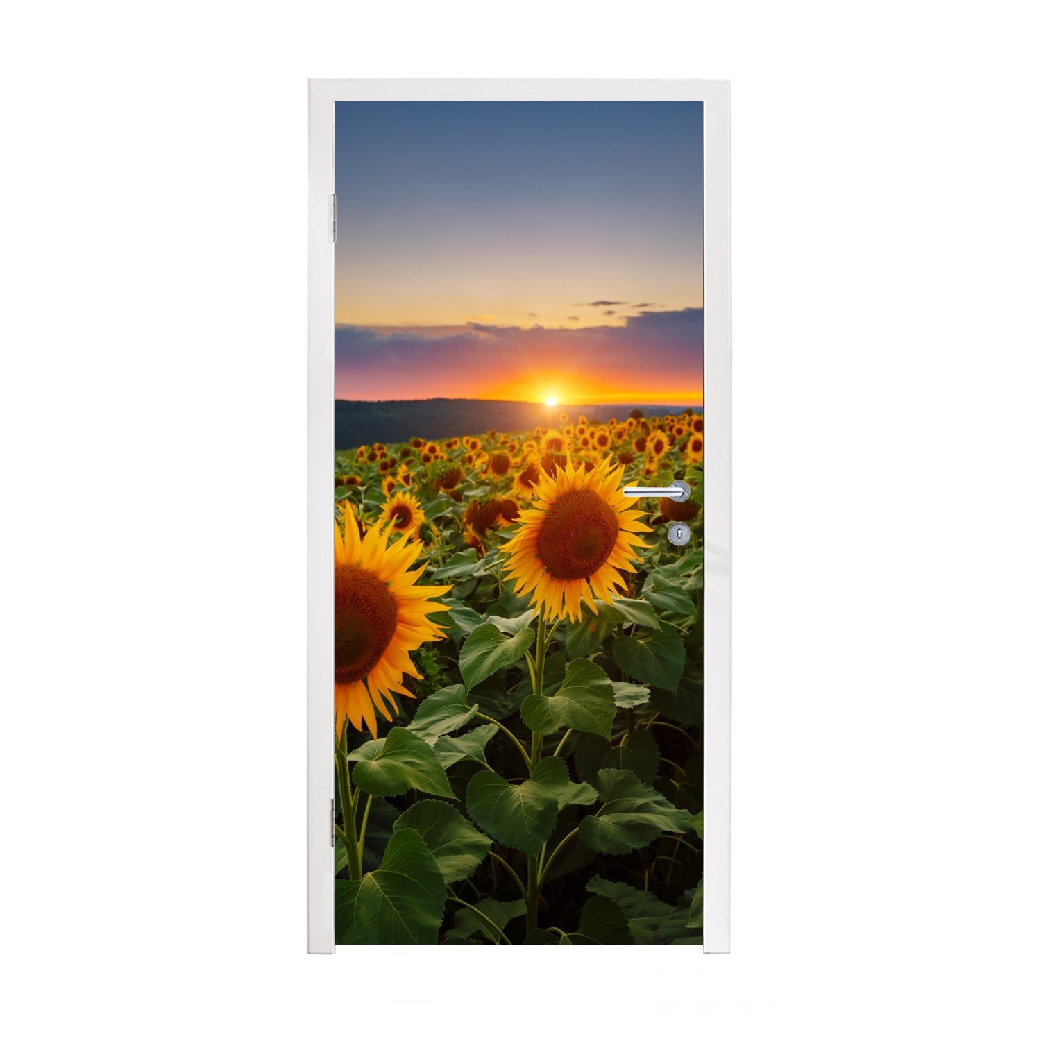 Türaufkleber, Türtapete Fototapete - bedruckt, Sonnenuntergang - MuchoWow - Tür, Sonnenblume St), Nacht cm - für Horizont, Blumen 75x205 Matt, (1
