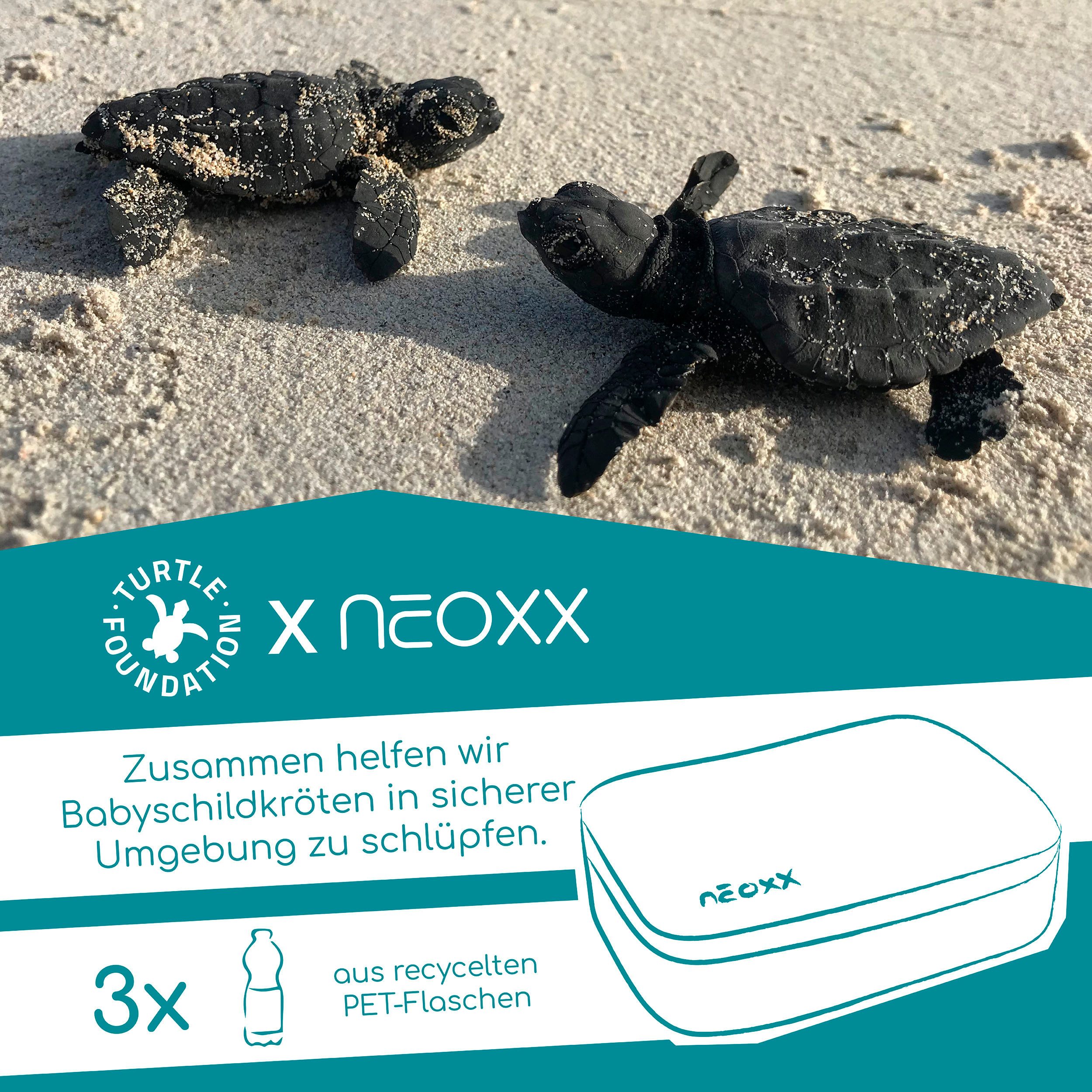 neoxx Schreibgeräteetui Schlamperbox, Dunk, Next Level günstig online kaufen