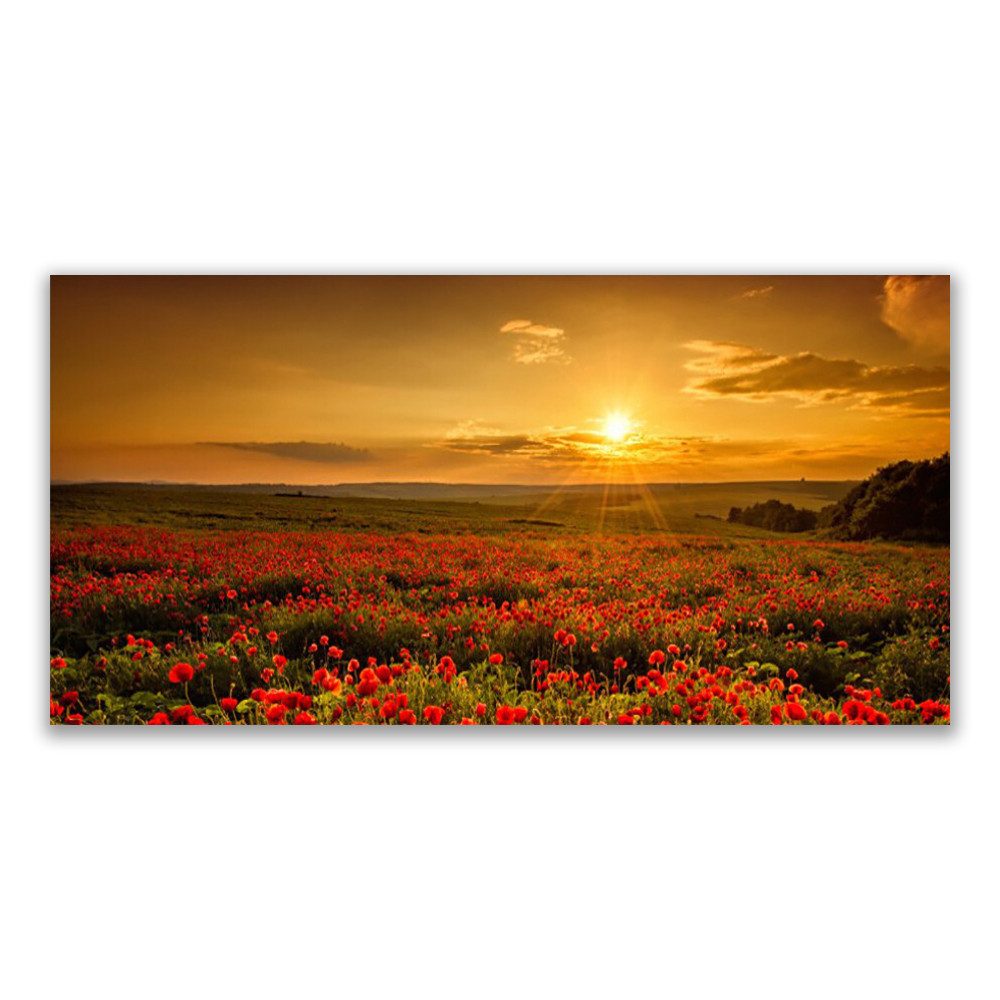 Tulup Leinwandbild Wandbild Canvas Groß Bilder günstig online kaufen