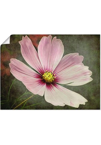 Artland Paveikslas »Die Blume« Blumen (1 viene...