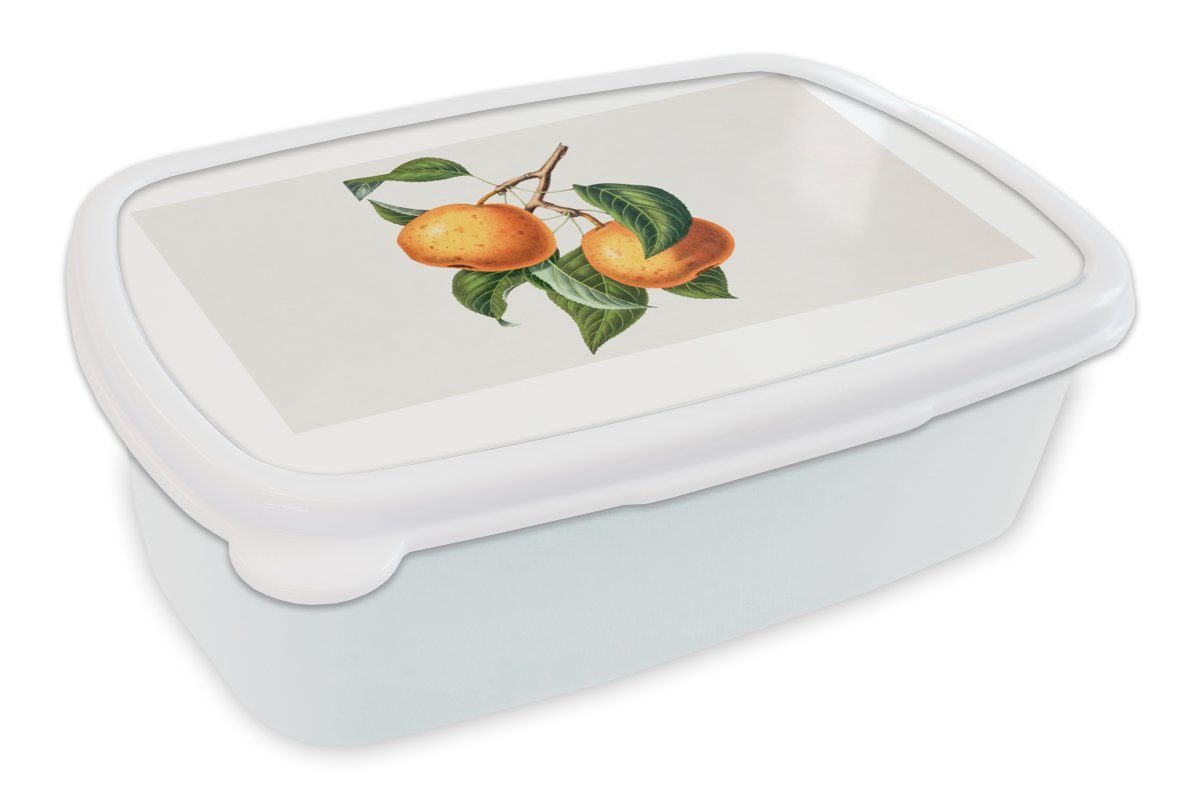 MuchoWow Lunchbox Obst - Lebensmittel - Blätter, Kunststoff, (2-tlg), Brotbox für Kinder und Erwachsene, Brotdose, für Jungs und Mädchen weiß