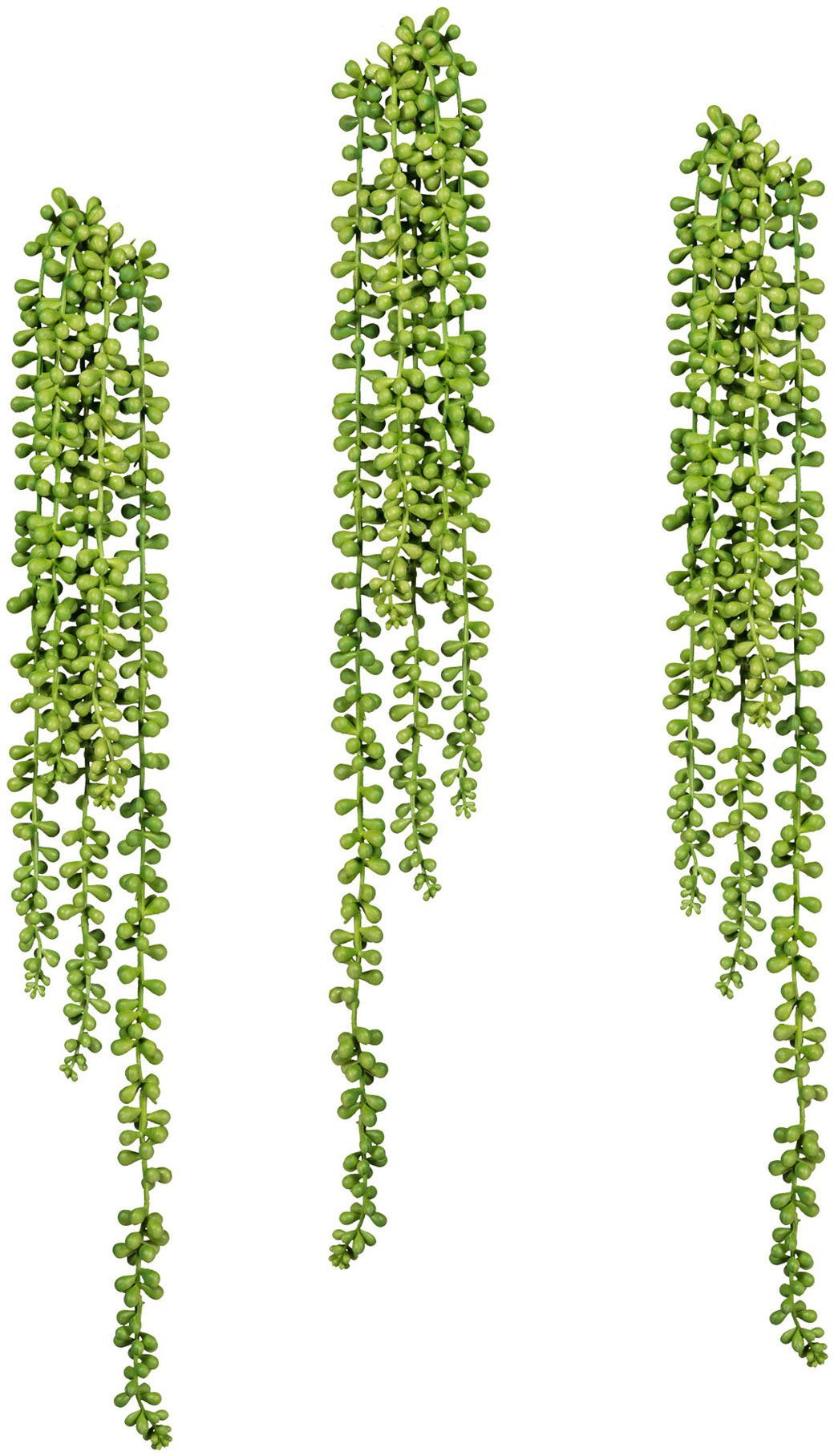 Kunstranke Sedumhänger Sukkulente, Creativ cm, vielseitig Set, pflegeleicht und Langlebig, green, 70 Höhe 3er verwendbar