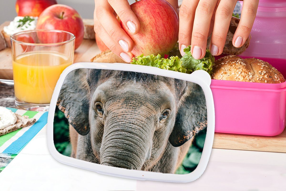 MuchoWow Lunchbox Elefant - Porträt rosa - - Tiere Brotbox Kinder, Brotdose Grau, (2-tlg), Kunststoff Kunststoff, Mädchen, für Snackbox, Erwachsene