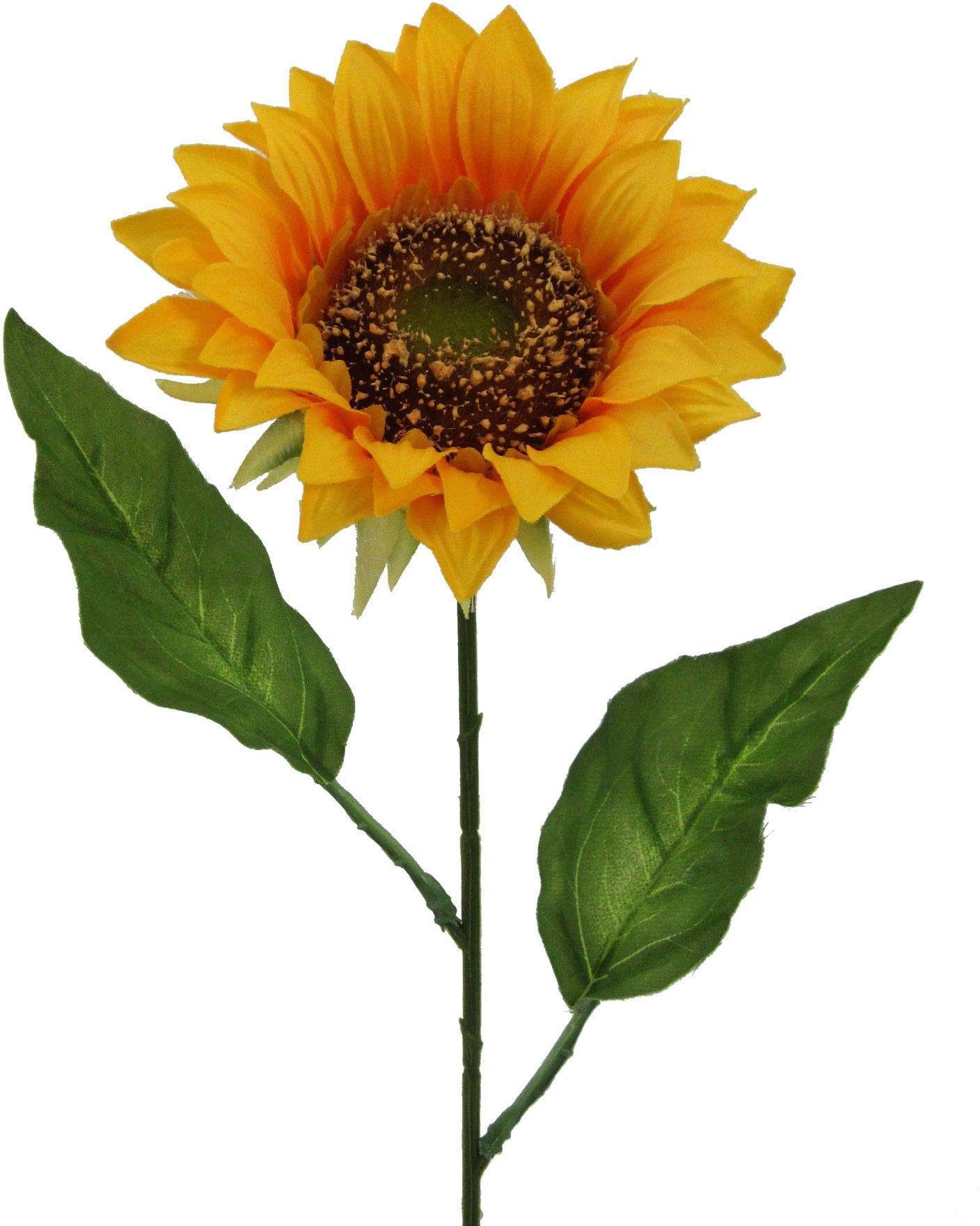Kunstblume, Creativ green, Höhe 66 cm, günstig online kaufen