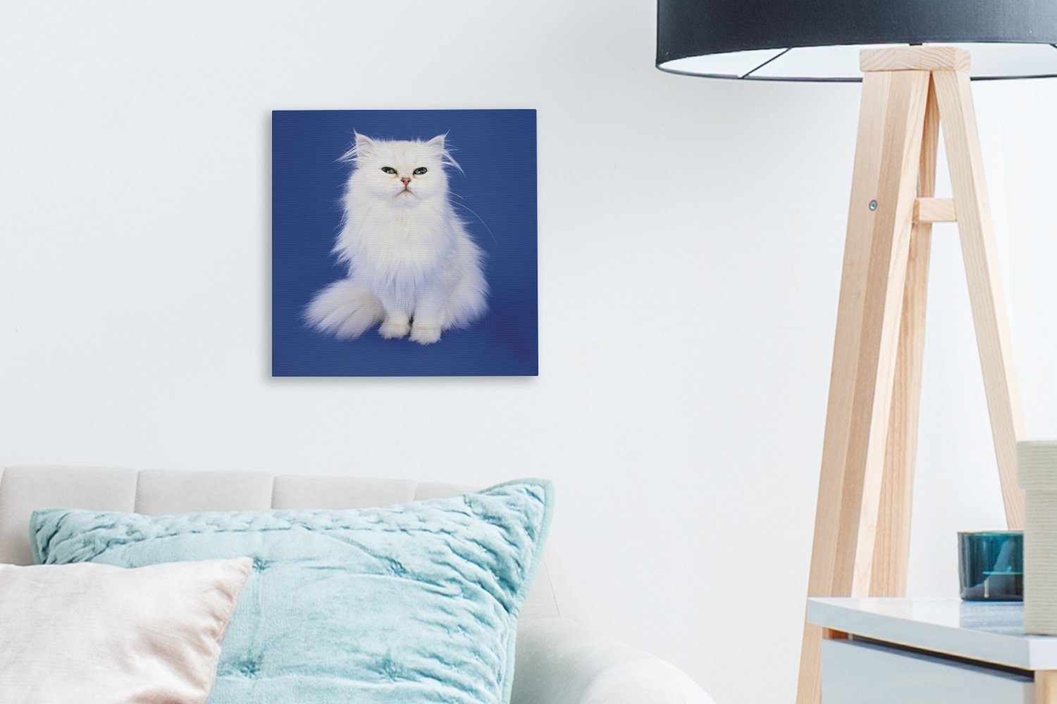 Leinwandbild blauem mit Hintergrund, Schlafzimmer Wohnzimmer OneMillionCanvasses® Weiße (1 St), Perserkatze für Leinwand Bilder